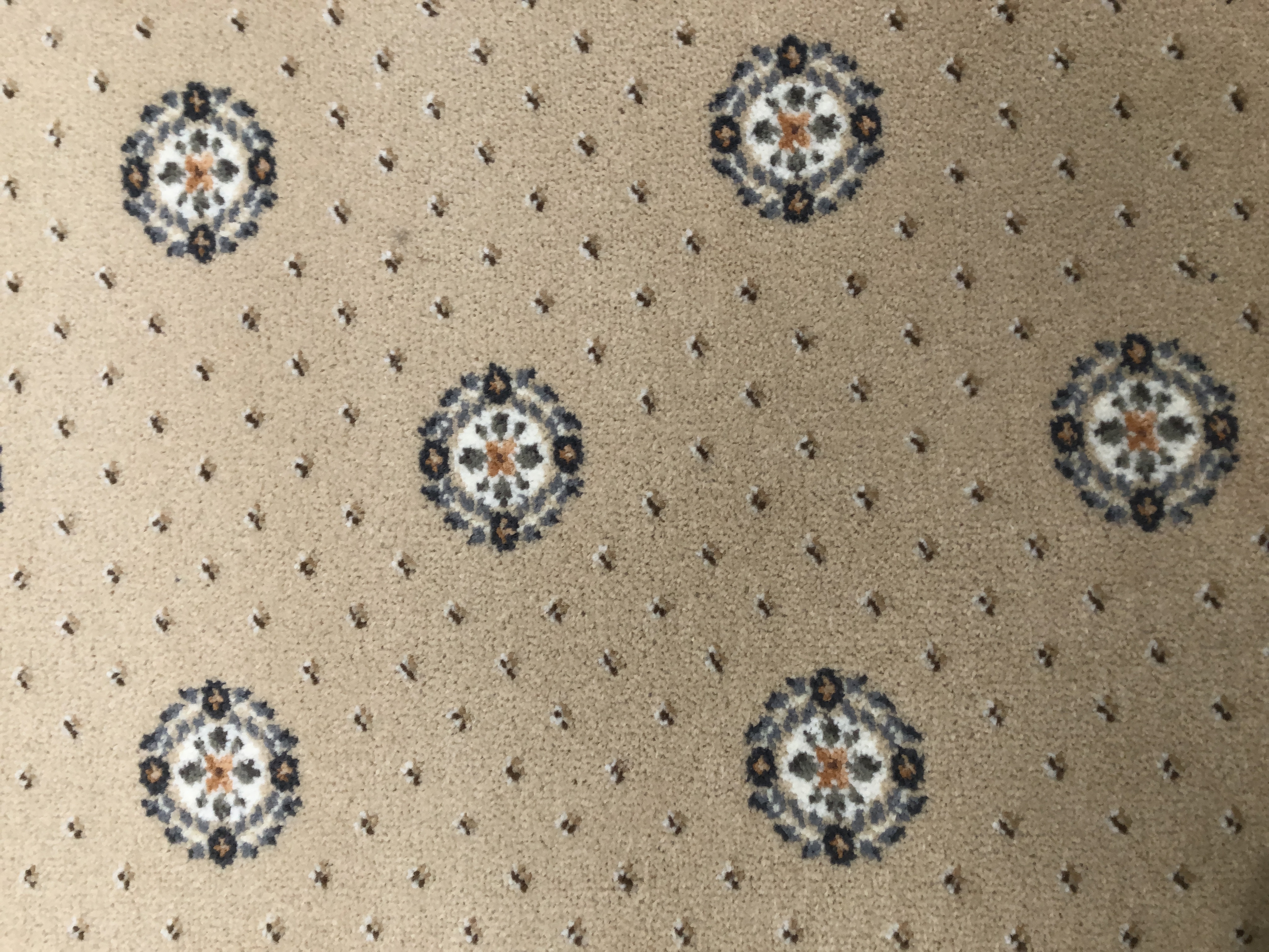 >ULSTER SHERIDEN CAMEO PROVENCALE 